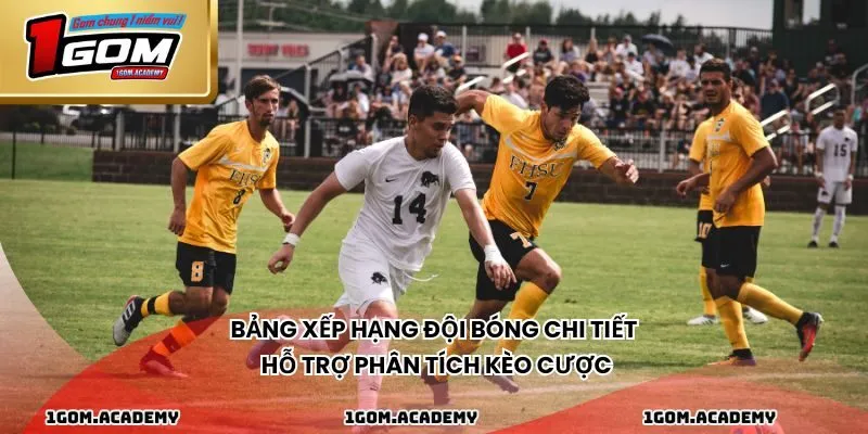 Bảng xếp hạng đội bóng chi tiết hỗ trợ phân tích kèo cược