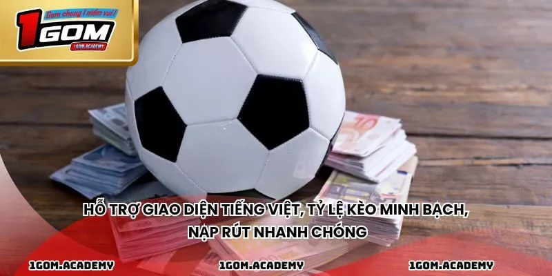 Hỗ trợ giao diện tiếng Việt, tỷ lệ kèo minh bạch, nạp rút nhanh chóng