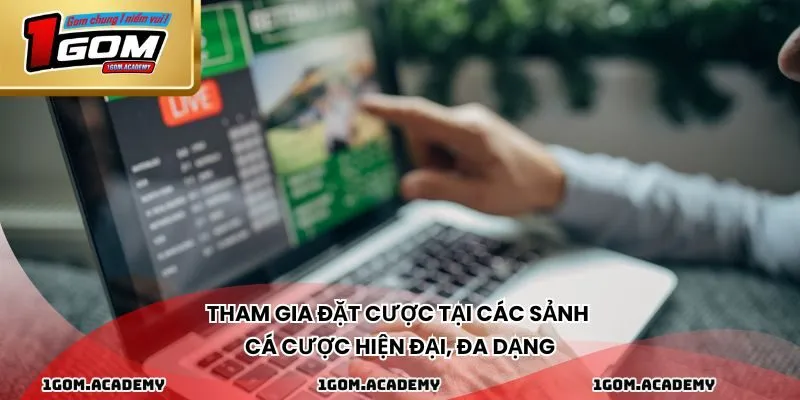 Tham gia đặt cược tại các sảnh cá cược hiện đại, đa dạng