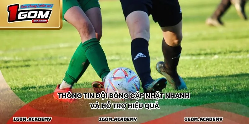 Thông tin đội bóng cập nhật nhanh và hỗ trợ hiệu quả